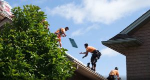 Roofing Services Hamilton
